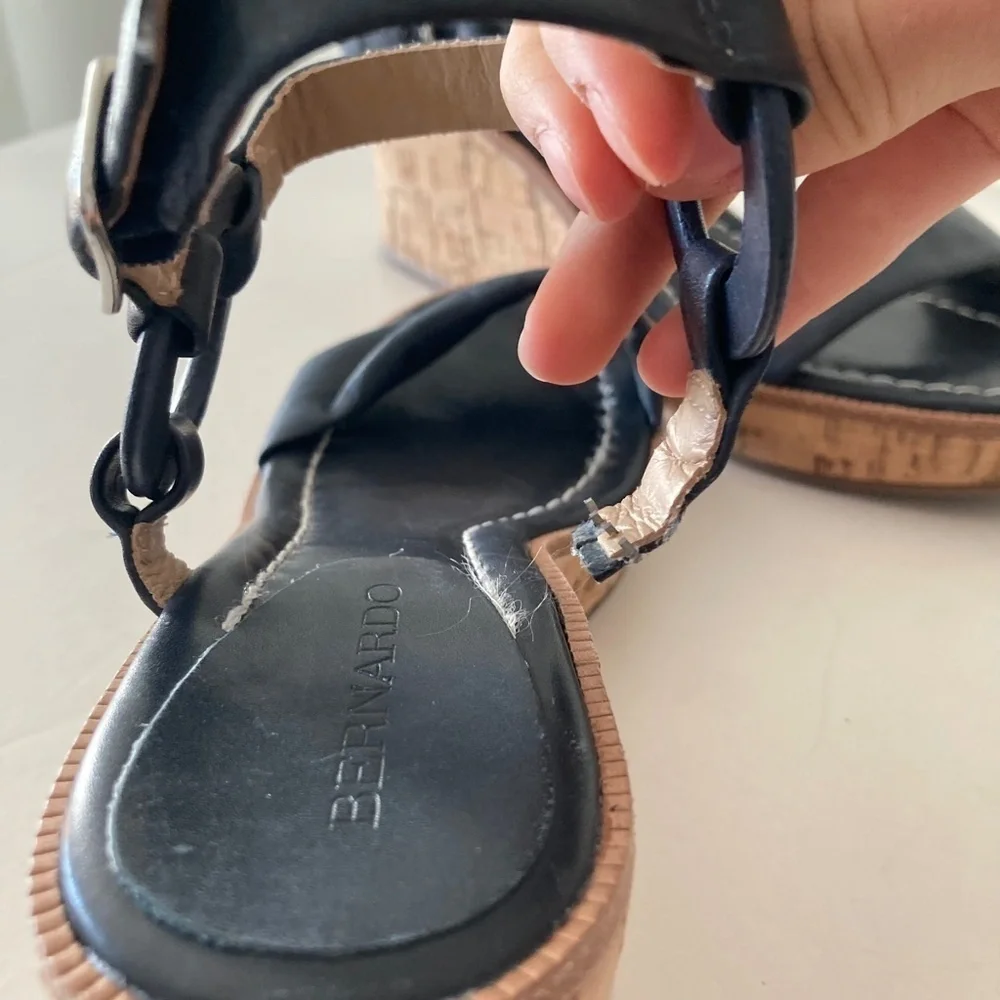 Bernardo anthropologie kennedy